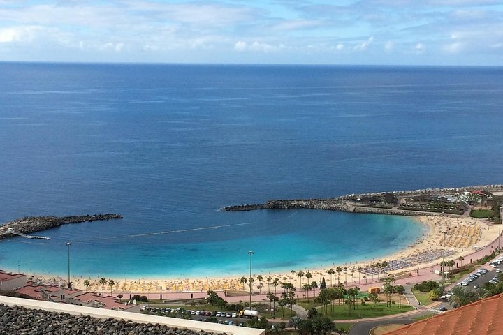 Begynder dykning i Gran Canarias klare vand, udforskning af havliv, foto 7 | wizardtrip
