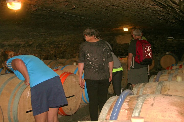 Disfruta de un paseo panorámico en bicicleta por los viñedos de Borgoña con cata de vinos desde Beaune, foto 6 | wizardtrip