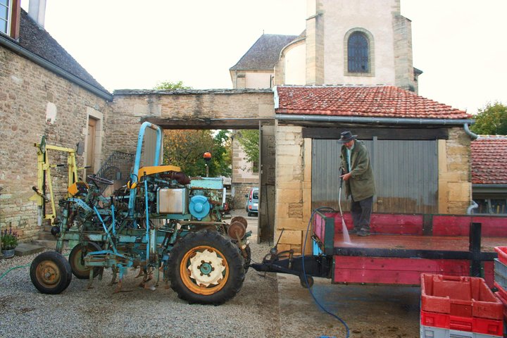 Disfruta de un paseo panorámico en bicicleta por los viñedos de Borgoña con cata de vinos desde Beaune, foto 7 | wizardtrip