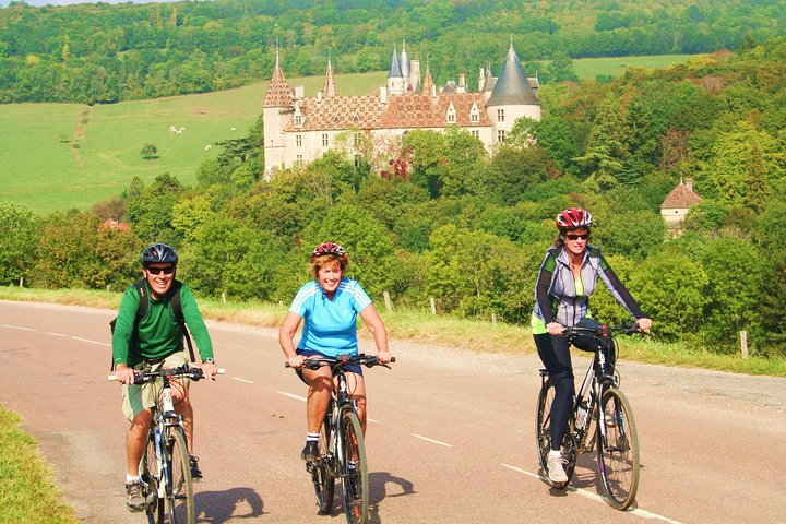 Disfruta de un paseo panorámico en bicicleta por los viñedos de Borgoña con cata de vinos desde Beaune, foto 8 | wizardtrip