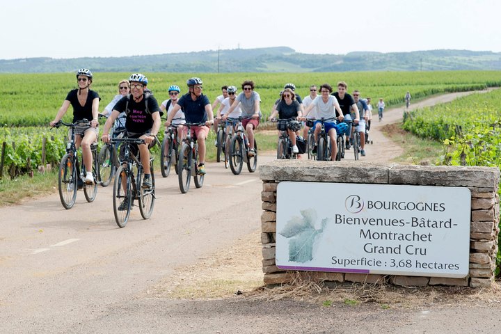 Disfruta de un paseo panorámico en bicicleta por los viñedos de Borgoña con cata de vinos desde Beaune, foto 9 | wizardtrip