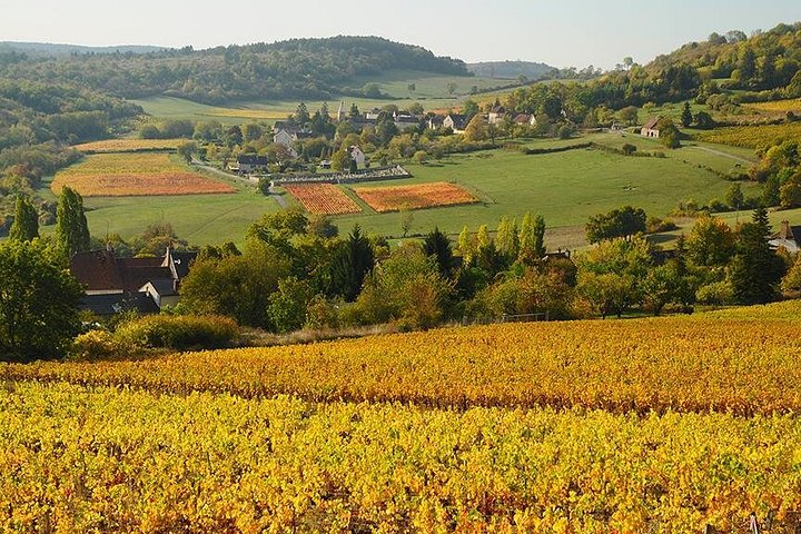 Disfruta de un paseo panorámico en bicicleta por los viñedos de Borgoña con cata de vinos desde Beaune, foto 10 | wizardtrip