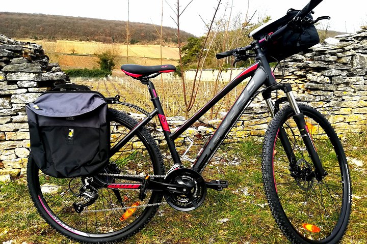 Disfruta de un paseo panorámico en bicicleta por los viñedos de Borgoña con cata de vinos desde Beaune, foto 11 | wizardtrip