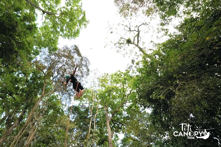 Opplev ziplining, rapellering og en Tarzan-sving i Costa Ricas regnskog nær Quepos, foto 8 | wizardtrip