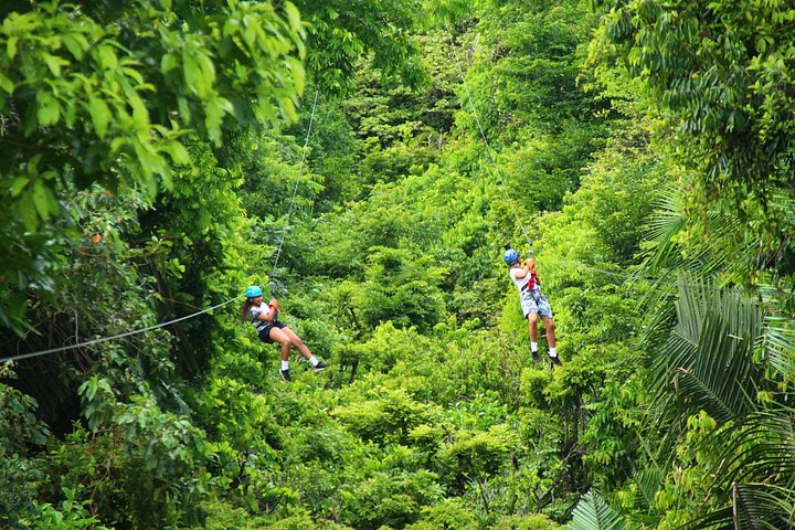 Opplev ziplining, rapellering og en Tarzan-sving i Costa Ricas regnskog nær Quepos, foto 36 | wizardtrip