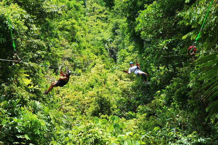 Opplev ziplining, rapellering og en Tarzan-sving i Costa Ricas regnskog nær Quepos, foto 37 | wizardtrip
