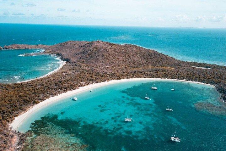 All-inclusive Bootstour zur Insel Icacos, Puerto Rico, mit Schnorcheln und Strandentspannung, Foto 11 | wizardtrip