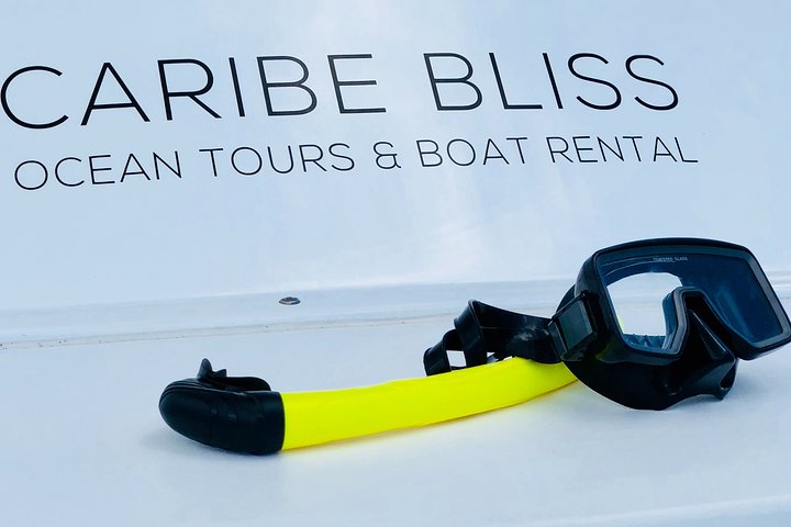 All-inclusive Bootstour zur Insel Icacos, Puerto Rico, mit Schnorcheln und Strandentspannung, Foto 14 | wizardtrip