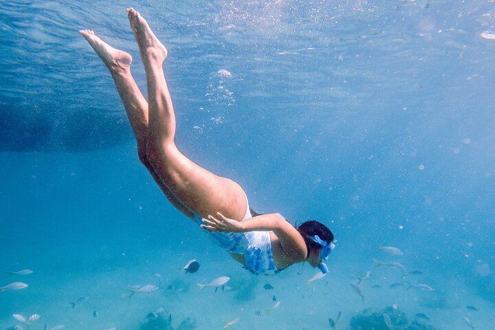 All-inclusive Bootstour zur Insel Icacos, Puerto Rico, mit Schnorcheln und Strandentspannung, Foto 29 | wizardtrip