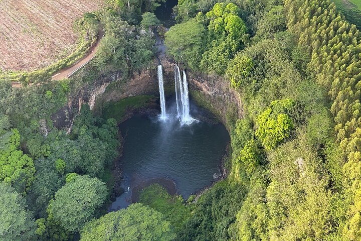 Passeio privado de helicóptero sem portas sobre as deslumbrantes cascatas, cânions e costas de Kauaʻi, foto 6 | wizardtrip