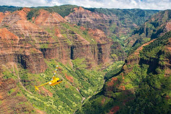 Passeio privado de helicóptero sem portas sobre as deslumbrantes cascatas, cânions e costas de Kauaʻi, foto 8 | wizardtrip