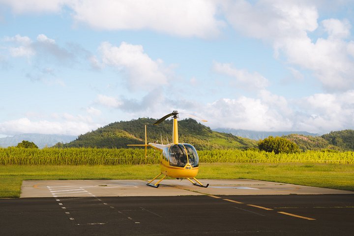 Passeio privado de helicóptero sem portas sobre as deslumbrantes cascatas, cânions e costas de Kauaʻi, foto 12 | wizardtrip