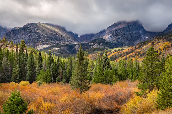 Kleine groepsreis die de schilderachtige landschappen en wilde dieren van Rocky Mountain National Park vanuit Denver verkent, foto 7 | wizardtrip