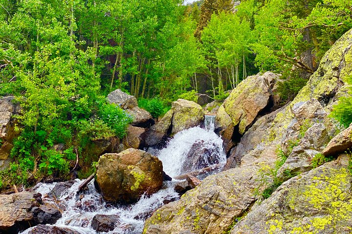 Kleine groepsreis die de schilderachtige landschappen en wilde dieren van Rocky Mountain National Park vanuit Denver verkent, foto 15 | wizardtrip