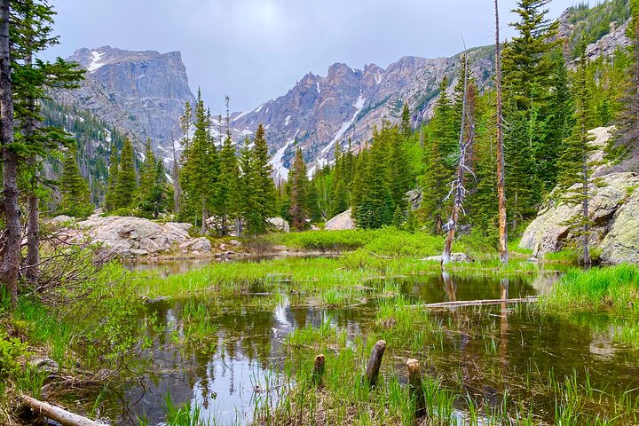 Kleine groepsreis die de schilderachtige landschappen en wilde dieren van Rocky Mountain National Park vanuit Denver verkent, foto 16 | wizardtrip