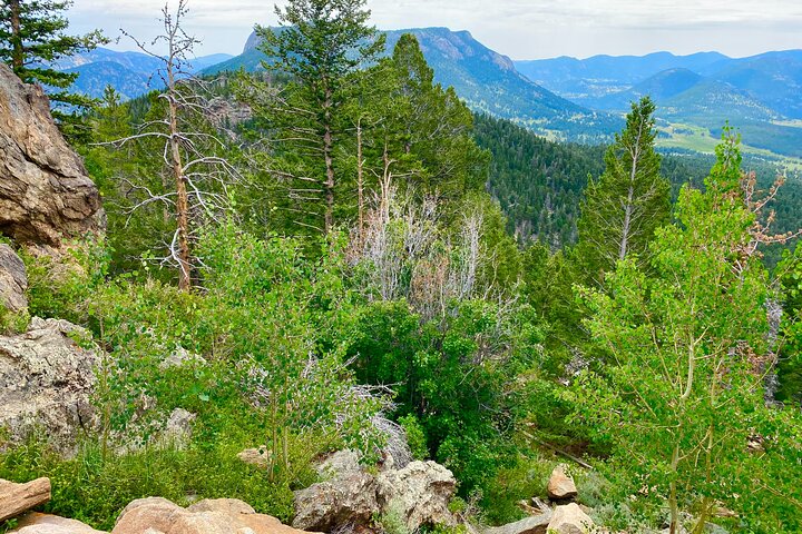 Kleine groepsreis die de schilderachtige landschappen en wilde dieren van Rocky Mountain National Park vanuit Denver verkent, foto 23 | wizardtrip