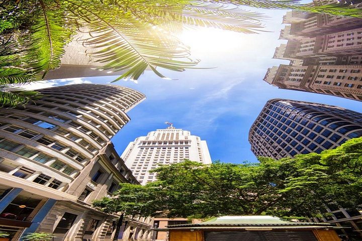 Visite privée de 5h des principaux sites de São Paulo, incluant parcs, marchés et art de rue, photo 22 | wizardtrip