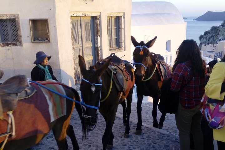 Heldagstur, der udforsker Santorinis landsbyer, strande og ikoniske solnedgang, foto 9 | wizardtrip