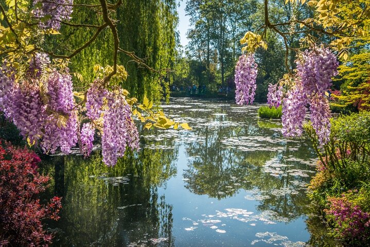 Giverny Tour in Minivan con Pick-up in Hotel o Punto d'Incontro | wizardtrip