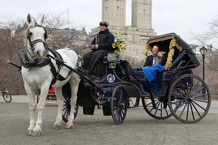 Official NYC Horse Carriage Rides in Central Park since 1979 ™ | wizardtrip