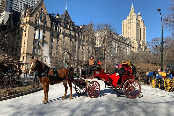 Njut av en klassisk hästdrosktur genom New Yorks Central Park, en minnesvärd upplevelse för alla, foto 7 | wizardtrip