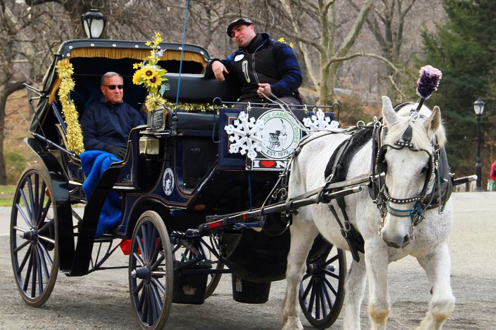 Njut av en klassisk hästdrosktur genom New Yorks Central Park, en minnesvärd upplevelse för alla, foto 8 | wizardtrip