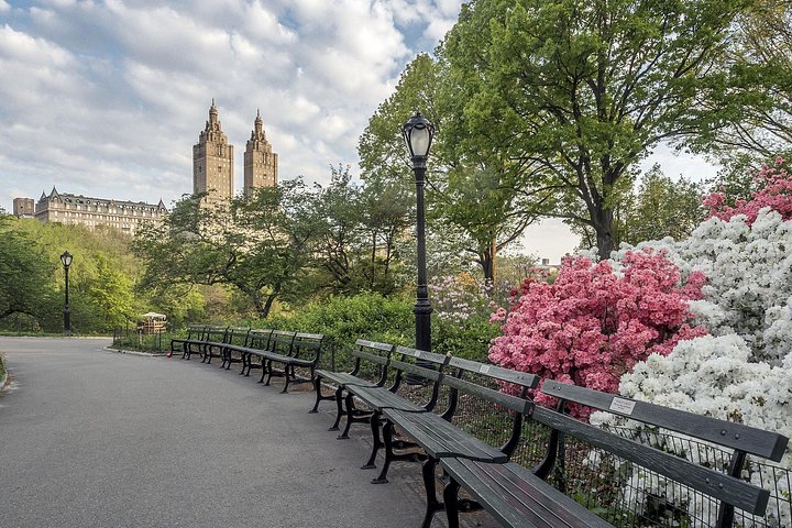 Njut av en klassisk hästdrosktur genom New Yorks Central Park, en minnesvärd upplevelse för alla, foto 9 | wizardtrip