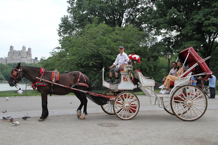 Njut av en klassisk hästdrosktur genom New Yorks Central Park, en minnesvärd upplevelse för alla, foto 14 | wizardtrip