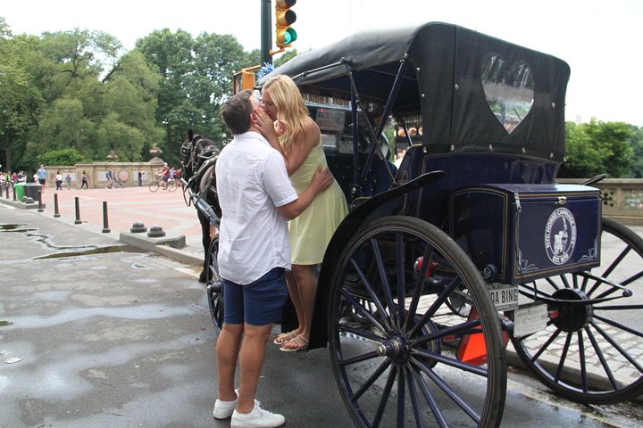 Njut av en klassisk hästdrosktur genom New Yorks Central Park, en minnesvärd upplevelse för alla, foto 18 | wizardtrip