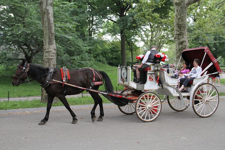 Njut av en klassisk hästdrosktur genom New Yorks Central Park, en minnesvärd upplevelse för alla, foto 22 | wizardtrip
