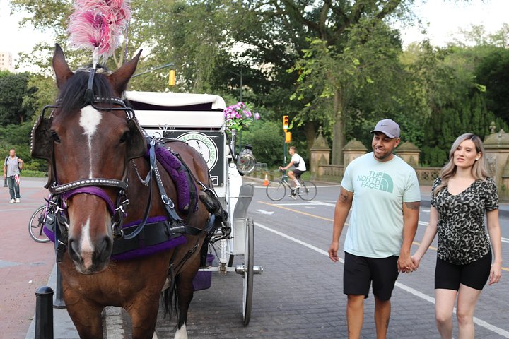 Njut av en klassisk hästdrosktur genom New Yorks Central Park, en minnesvärd upplevelse för alla, foto 23 | wizardtrip