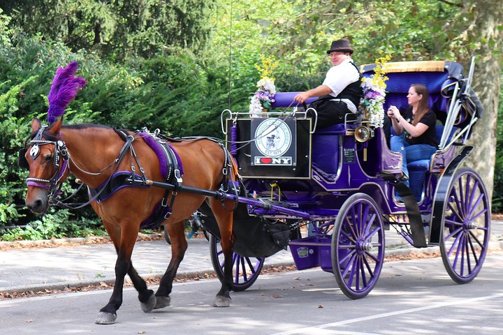 Njut av en klassisk hästdrosktur genom New Yorks Central Park, en minnesvärd upplevelse för alla, foto 27 | wizardtrip