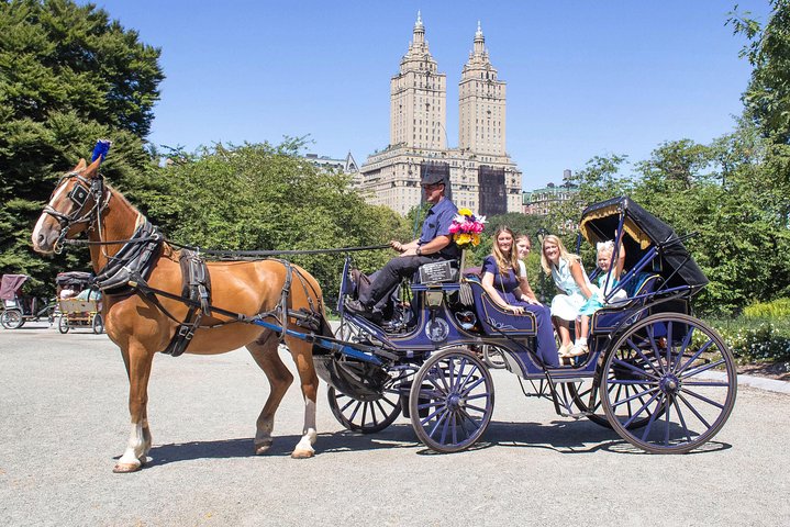 Njut av en klassisk hästdrosktur genom New Yorks Central Park, en minnesvärd upplevelse för alla, foto 28 | wizardtrip