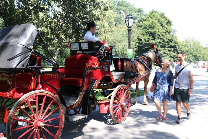 Njut av en klassisk hästdrosktur genom New Yorks Central Park, en minnesvärd upplevelse för alla, foto 29 | wizardtrip