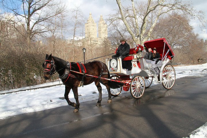 Njut av en klassisk hästdrosktur genom New Yorks Central Park, en minnesvärd upplevelse för alla, foto 32 | wizardtrip