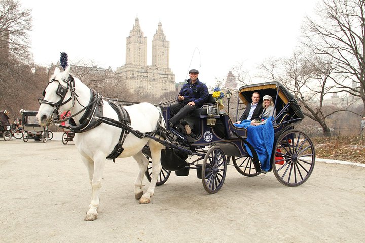 Njut av en klassisk hästdrosktur genom New Yorks Central Park, en minnesvärd upplevelse för alla, foto 34 | wizardtrip