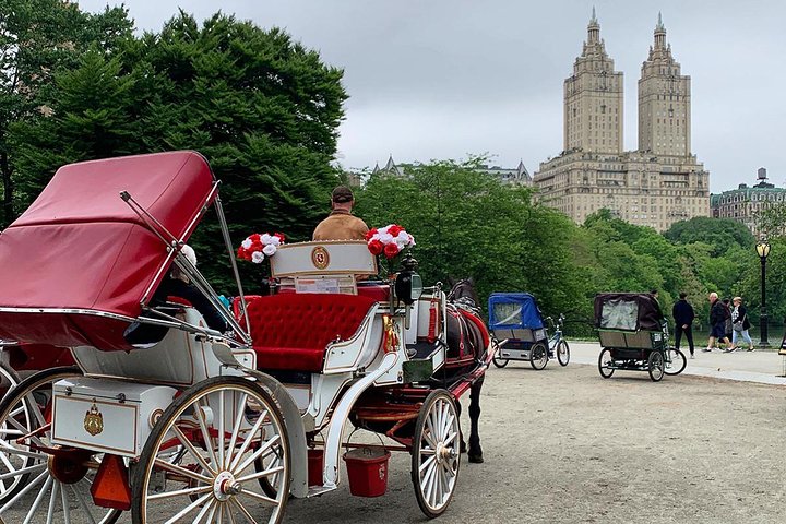 Njut av en klassisk hästdrosktur genom New Yorks Central Park, en minnesvärd upplevelse för alla, foto 37 | wizardtrip