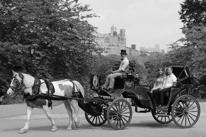 Njut av en klassisk hästdrosktur genom New Yorks Central Park, en minnesvärd upplevelse för alla, foto 40 | wizardtrip