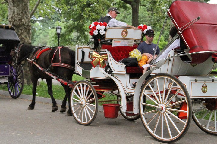 Njut av en klassisk hästdrosktur genom New Yorks Central Park, en minnesvärd upplevelse för alla, foto 43 | wizardtrip