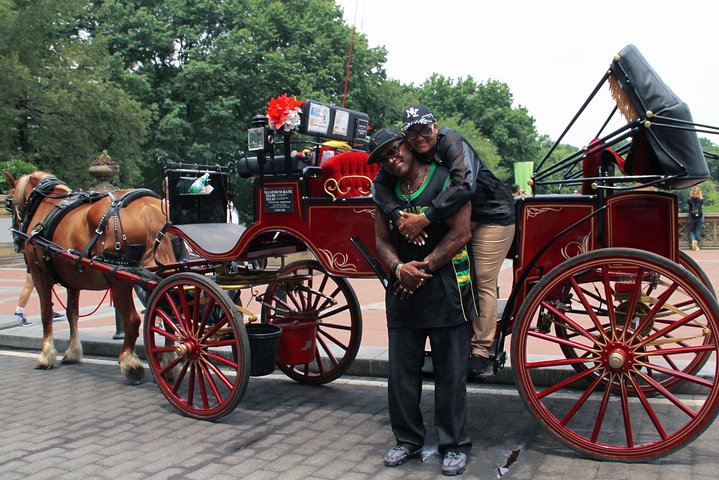 Njut av en klassisk hästdrosktur genom New Yorks Central Park, en minnesvärd upplevelse för alla, foto 45 | wizardtrip