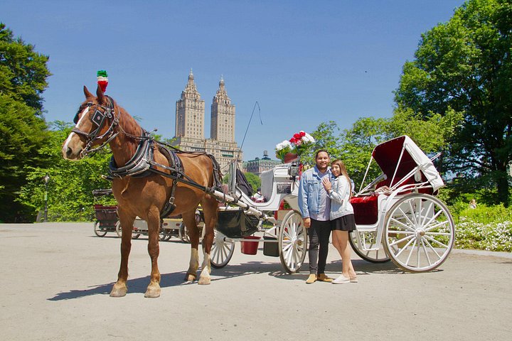 Njut av en klassisk hästdrosktur genom New Yorks Central Park, en minnesvärd upplevelse för alla, foto 51 | wizardtrip