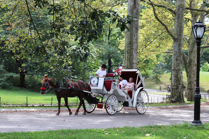 Njut av en klassisk hästdrosktur genom New Yorks Central Park, en minnesvärd upplevelse för alla, foto 57 | wizardtrip