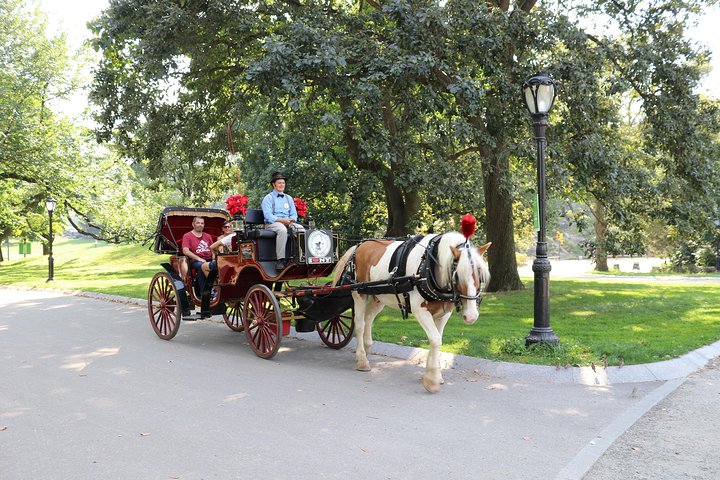 Njut av en klassisk hästdrosktur genom New Yorks Central Park, en minnesvärd upplevelse för alla, foto 58 | wizardtrip