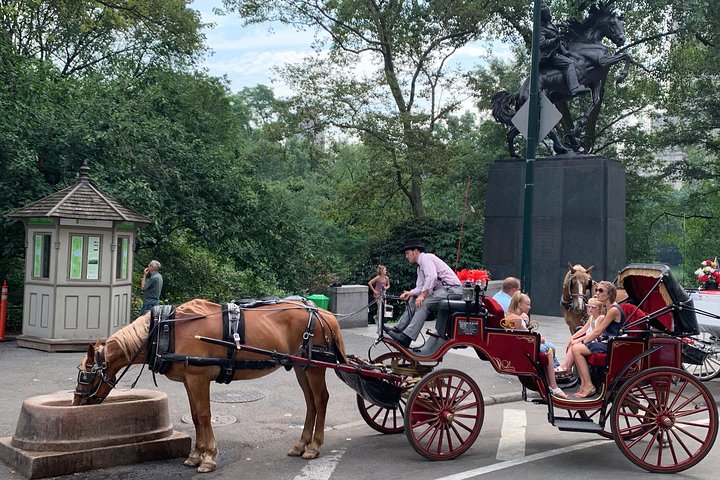 Njut av en klassisk hästdrosktur genom New Yorks Central Park, en minnesvärd upplevelse för alla, foto 60 | wizardtrip