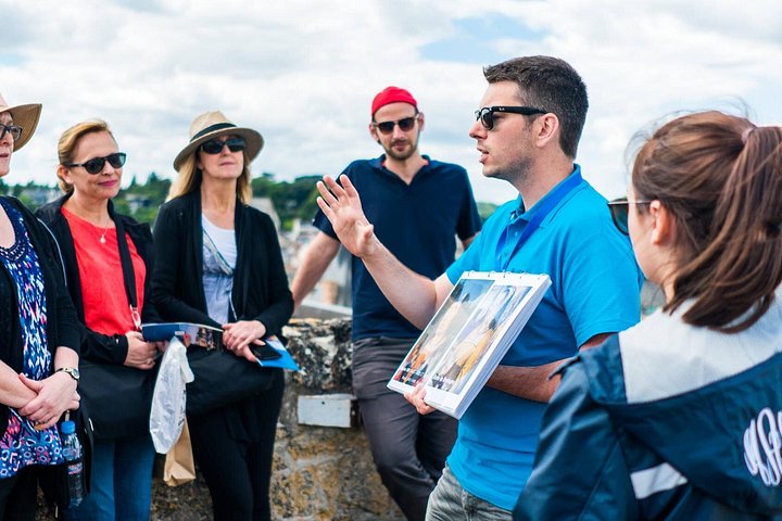 Smågruppstur till Loiredalens slott från Paris, inklusive Chambord, Chenonceau och Amboise, foto 8 | wizardtrip