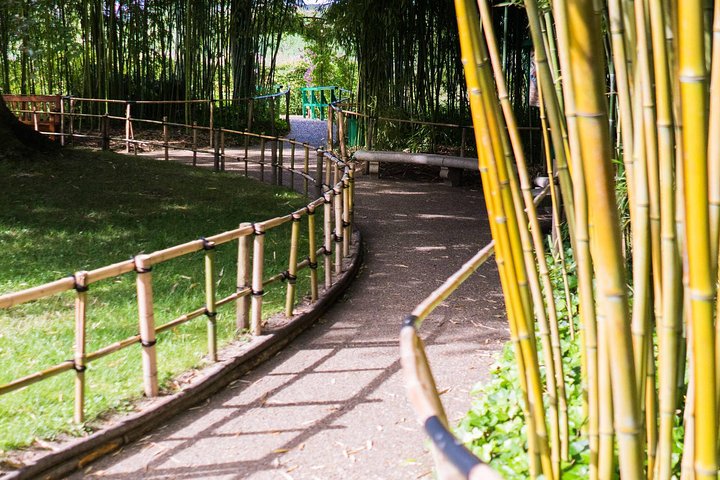 En halvdagstur til Claude Monets hus og hager i Giverny fra Paris, foto 13 | wizardtrip