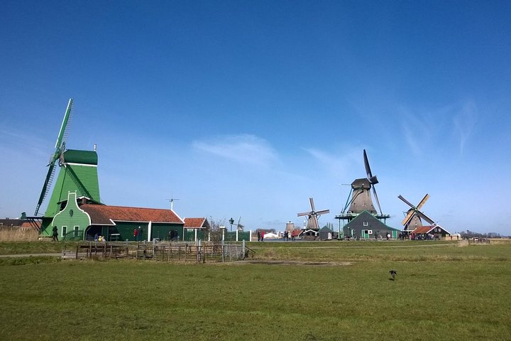 Tour di piccolo gruppo a Zaanse Schans da Amsterdam, con mulini a vento, produzione di zoccoli e degustazione di formaggi, foto 7 | wizardtrip