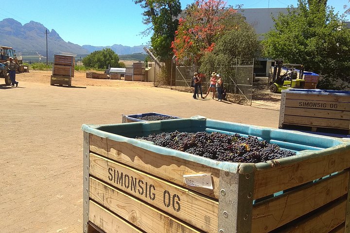 Tour de dégustation de vin à Stellenbosch et Franschhoek, Le Cap, Afrique du Sud, photo 9 | wizardtrip