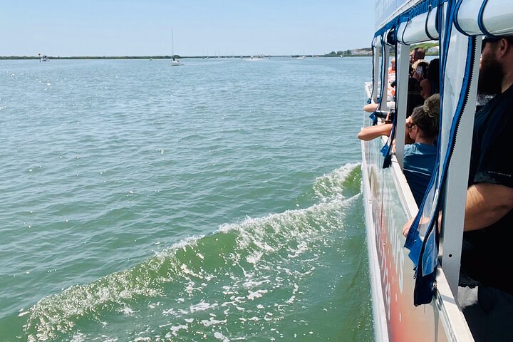 Tour in barca tra delfini e fauna selvatica a St. Augustine, Florida, con vista sui monumenti storici, foto 8 | wizardtrip