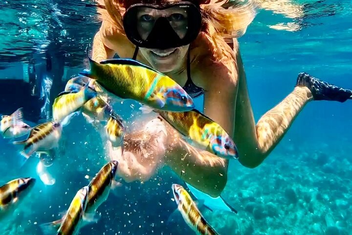 Tropea & Capo Vaticano Boat Tour with Snorkeling. Up to 12 Guests | wizardtrip